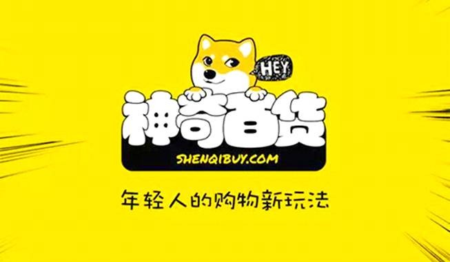 “神奇百货”王凯歆,电商创业遭重挫