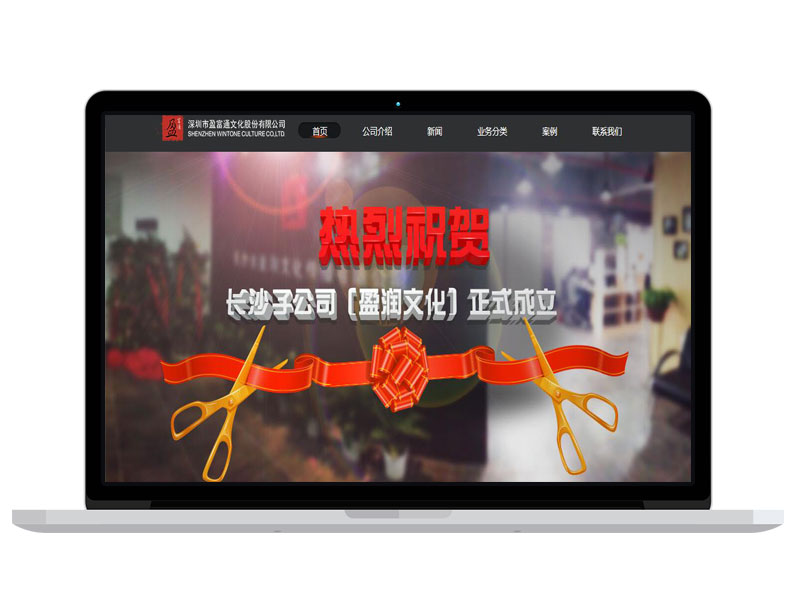 深圳文化传媒公司官网 B2C高端商务网站 google运营推广策划